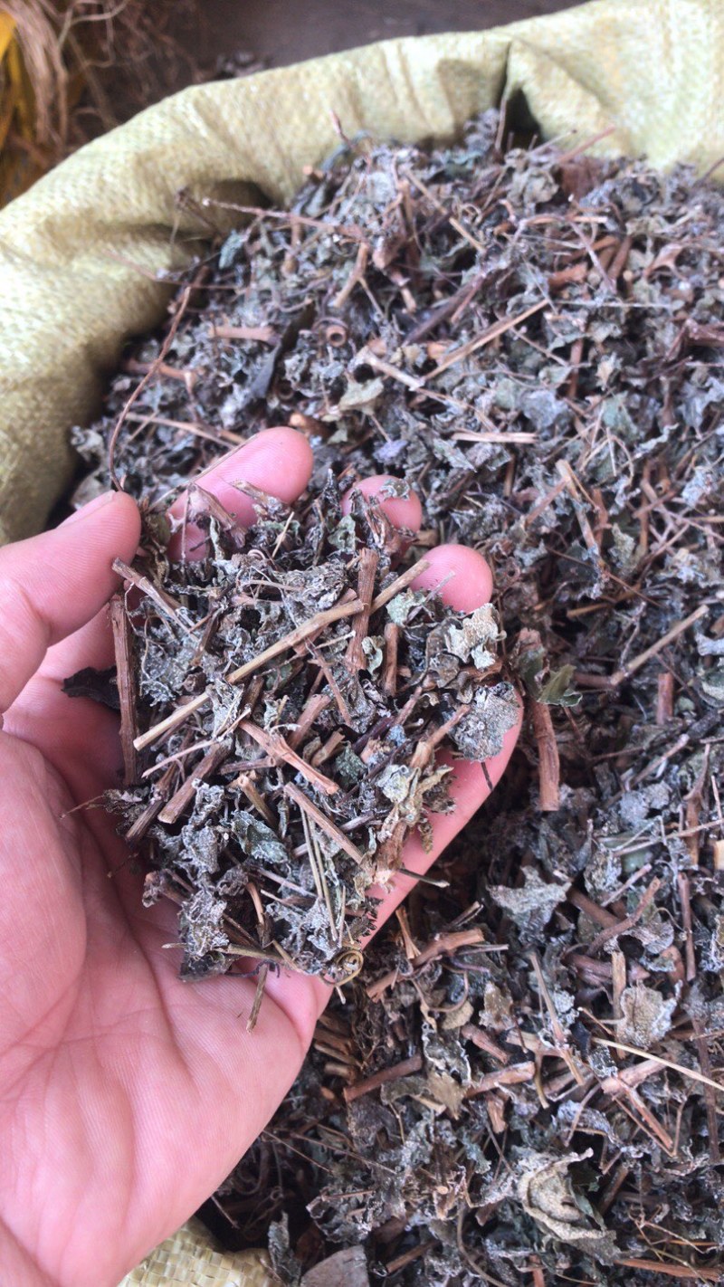 精选野生藤茶霉茶