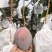 四川凯特芒果大量上市产地直供对接市场电商