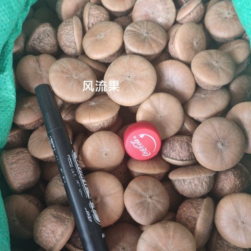 风流果