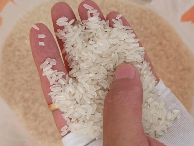 碎米硬碎软碎细碎糯碎供应对接企业