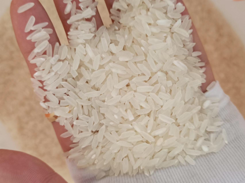 碎米硬碎软碎细碎糯碎供应对接企业
