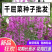 千屈菜种子水生植物旱地花种籽四季湿地岸边池塘沙地水枝柳草