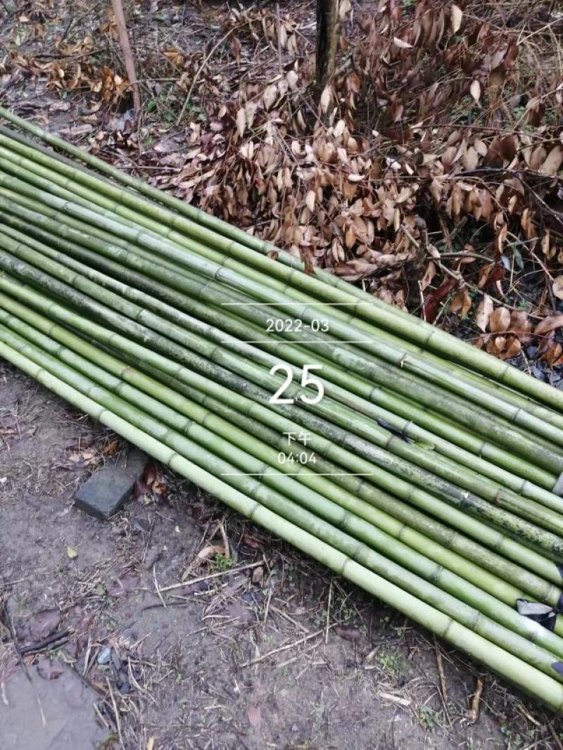 大棚设施