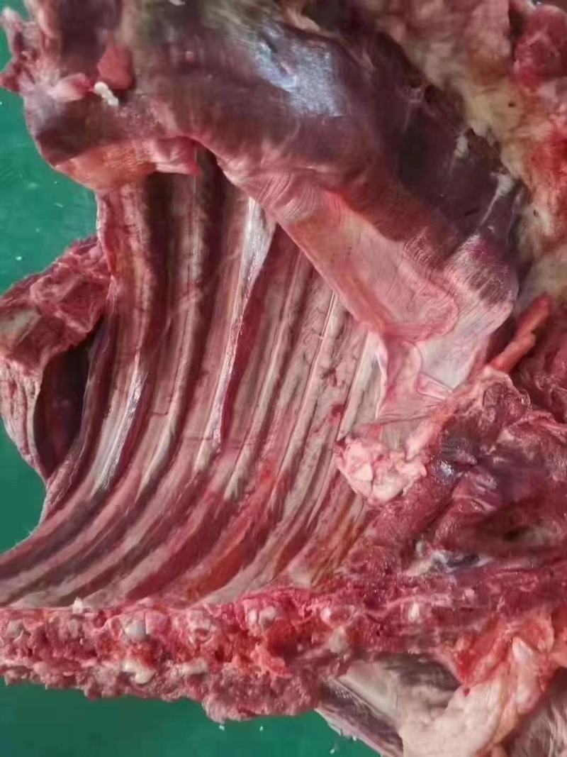 驴排偏瘦