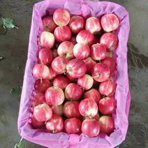 辽宁开原花红123小苹果八月初开始上市。