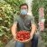特色小番茄圣女果苗/千禧贝贝/小柿子苗/各种颜色小番茄苗