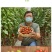 特色小番茄圣女果苗/千禧贝贝/小柿子苗/各种颜色小番茄苗