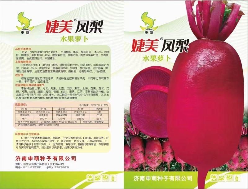 进口杂交凤梨水果萝卜种子，100粒