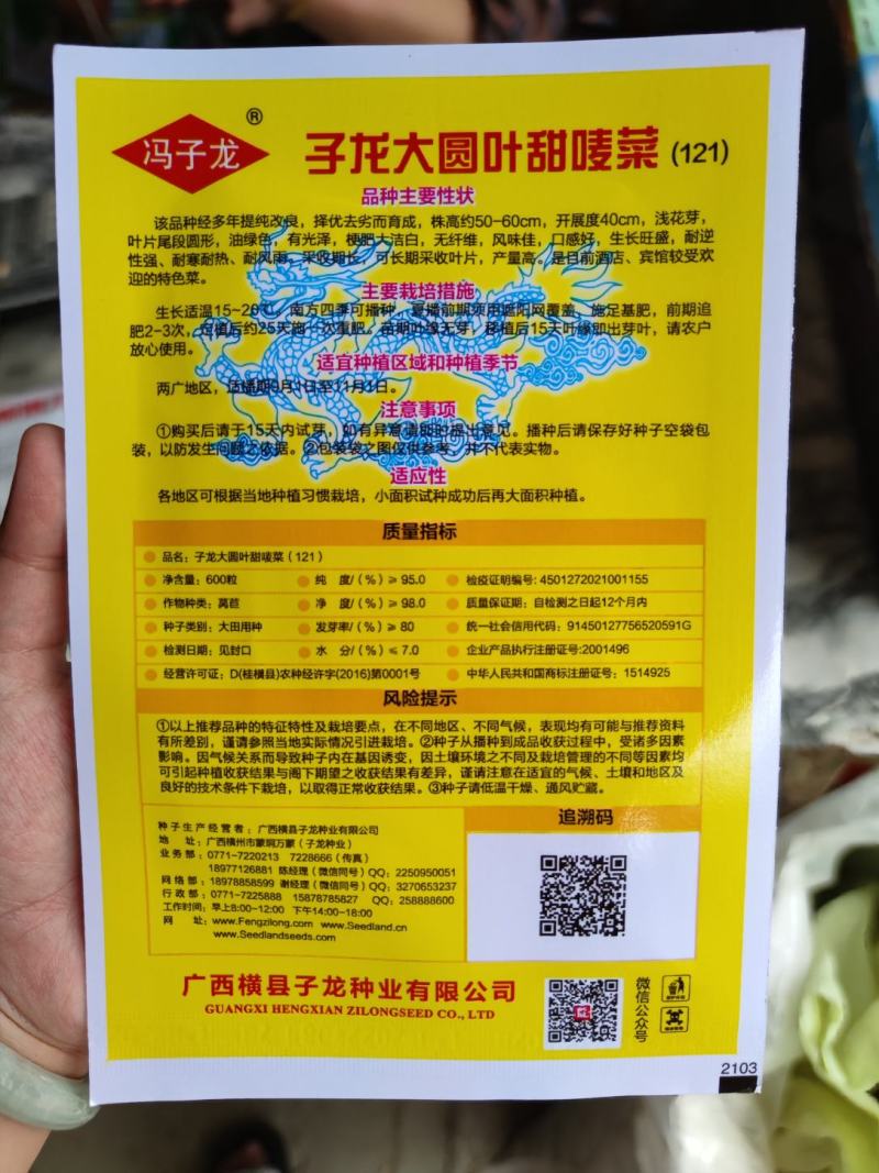大圆叶苦麦菜种子