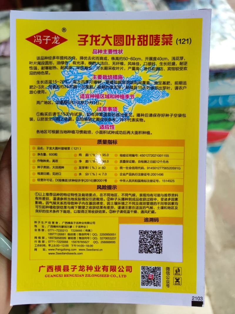 大圆叶苦麦菜种子