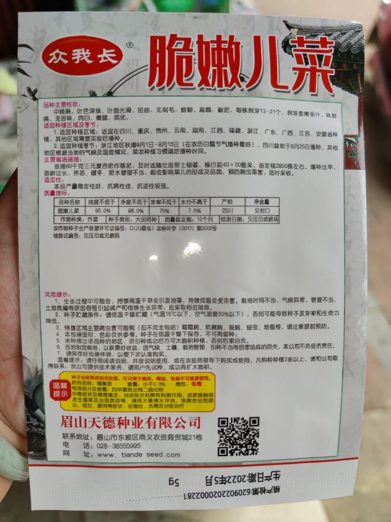 脆嫩儿菜种子5克，中晚熟，味甜肉白质优