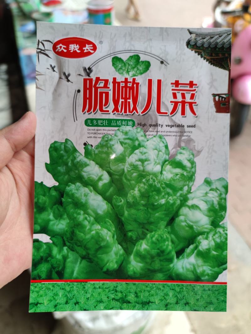 脆嫩儿菜种子5克，中晚熟，味甜肉白质优