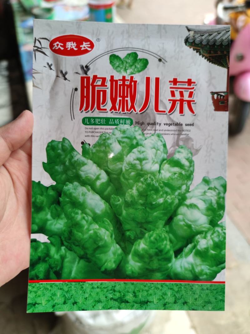 脆嫩儿菜种子5克，中晚熟，味甜肉白质优