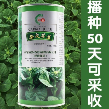 杂交芥兰种子，100克