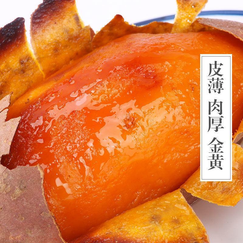 开封商品高标准龙九蜜薯