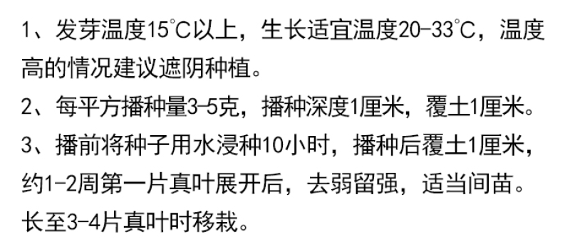 芙蓉葵种子新采大花秋葵种子草芙蓉四季种植耐寒耐阴多年生