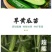 黄瓜苗旱黄瓜苗水果黄瓜苗/蔬菜苗/各种黄瓜苗