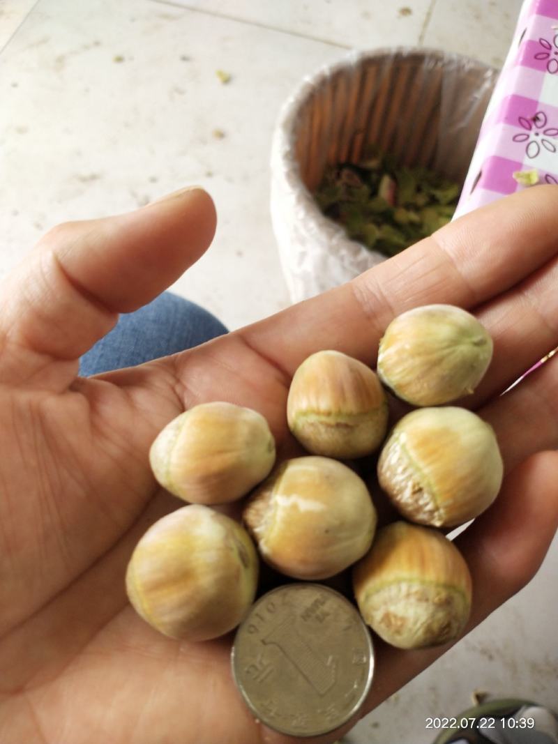 达维玉坠110