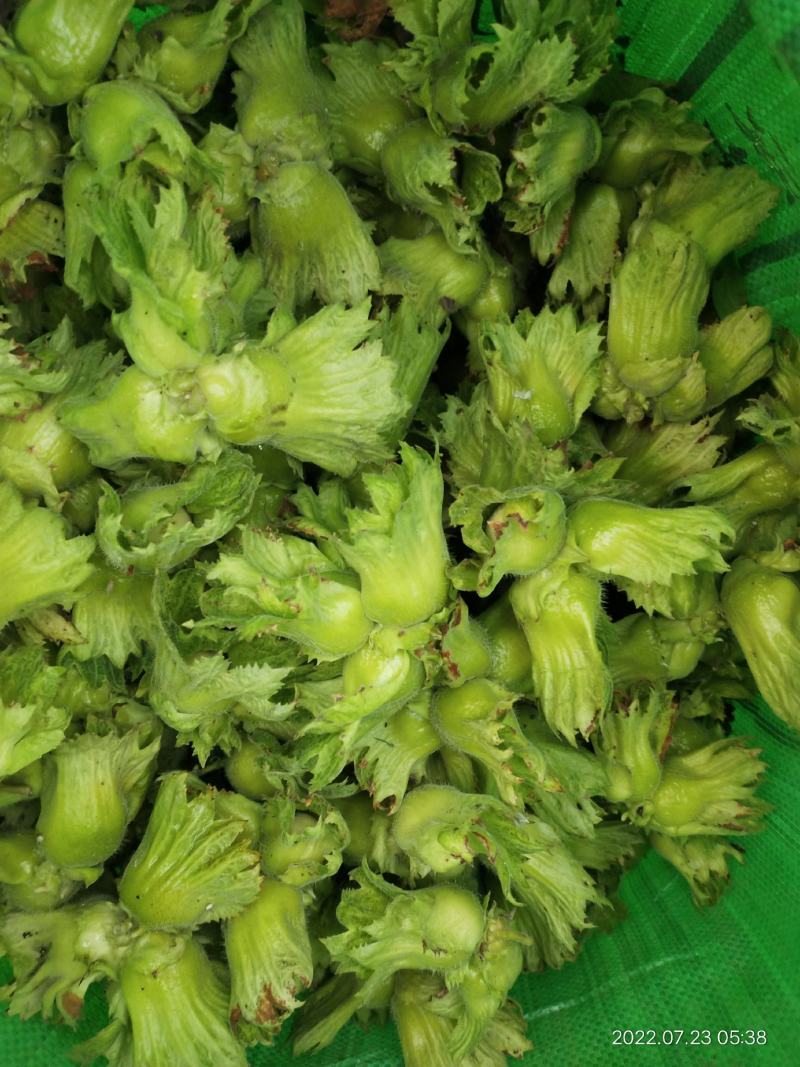 达维玉坠110