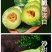 羊角蜜苗脆瓜苗绿宝苗西瓜苗/种苗/瓜苗