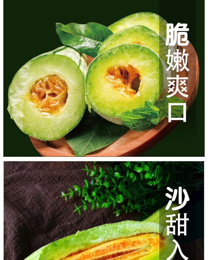 羊角蜜苗脆瓜苗绿宝苗西瓜苗/种苗/瓜苗