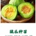 羊角蜜苗脆瓜苗绿宝苗西瓜苗/种苗/瓜苗