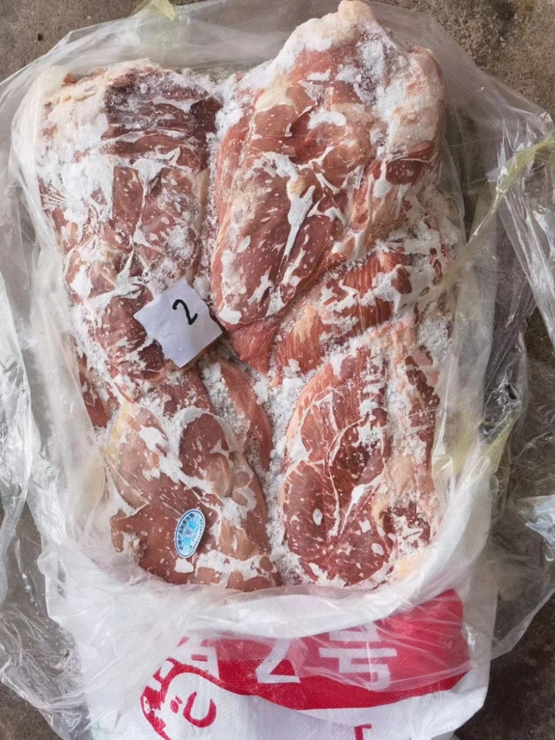 母猪带前驳二号，母猪二号肉带前驳
