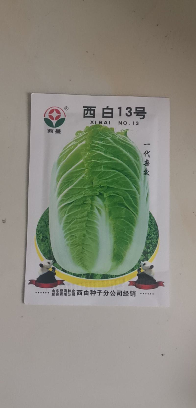 秋季耐寒白菜种子抗病强生长速度快矮桩炮弹形基地专用