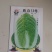 秋季耐寒白菜种子抗病强生长速度快矮桩炮弹形基地专用