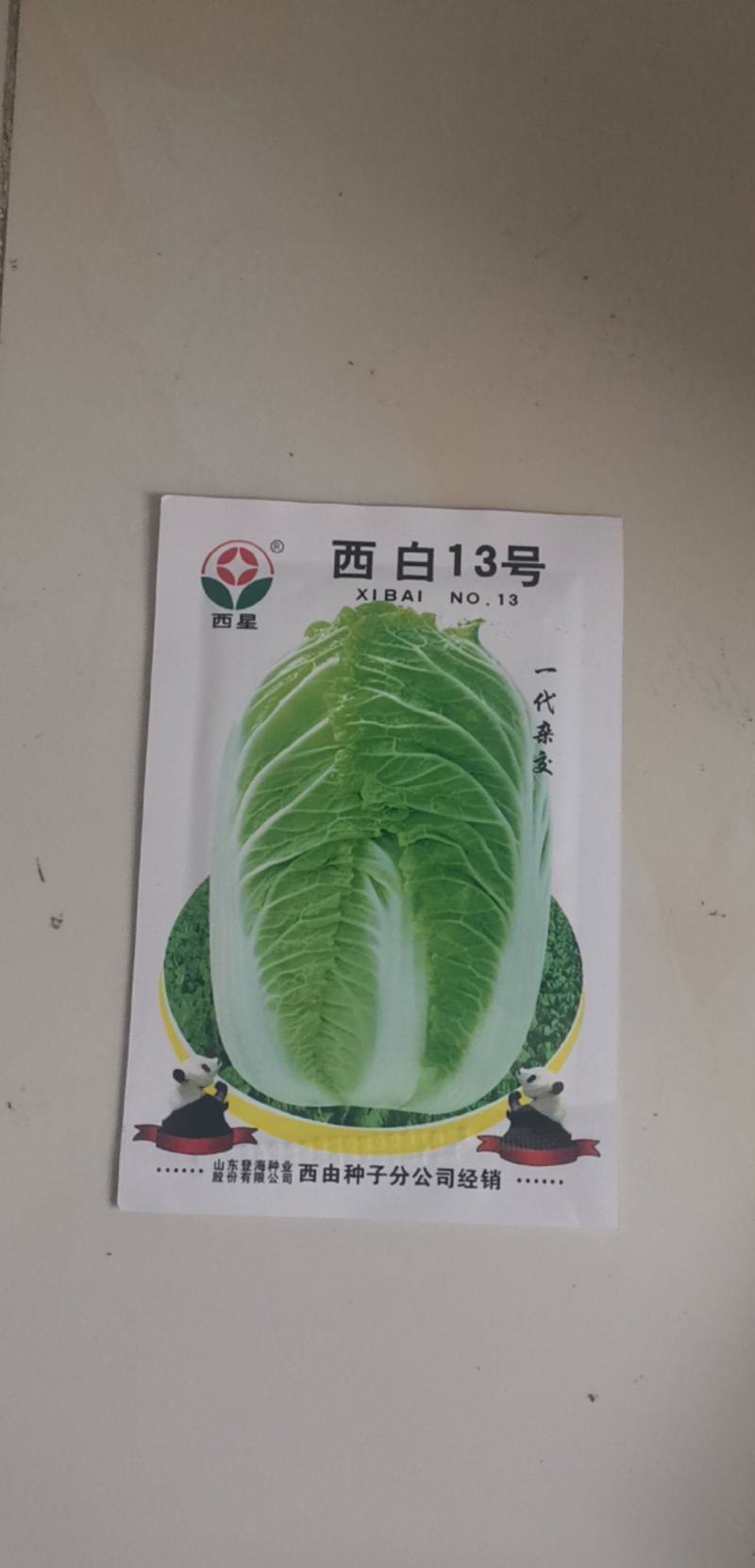 秋季耐寒白菜种子抗病强生长速度快矮桩炮弹形基地专用