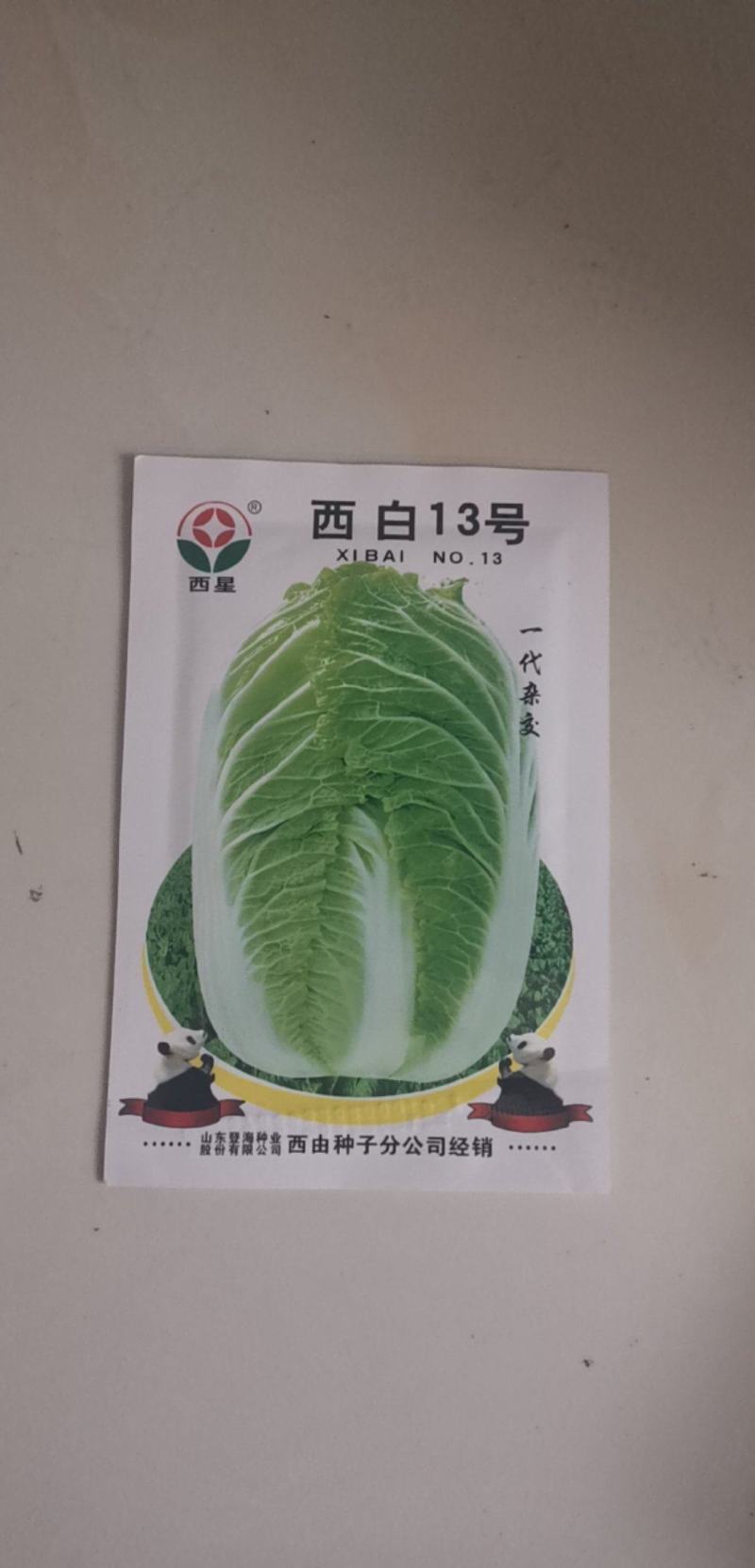 秋季耐寒白菜种子抗病强生长速度快矮桩炮弹形基地专用