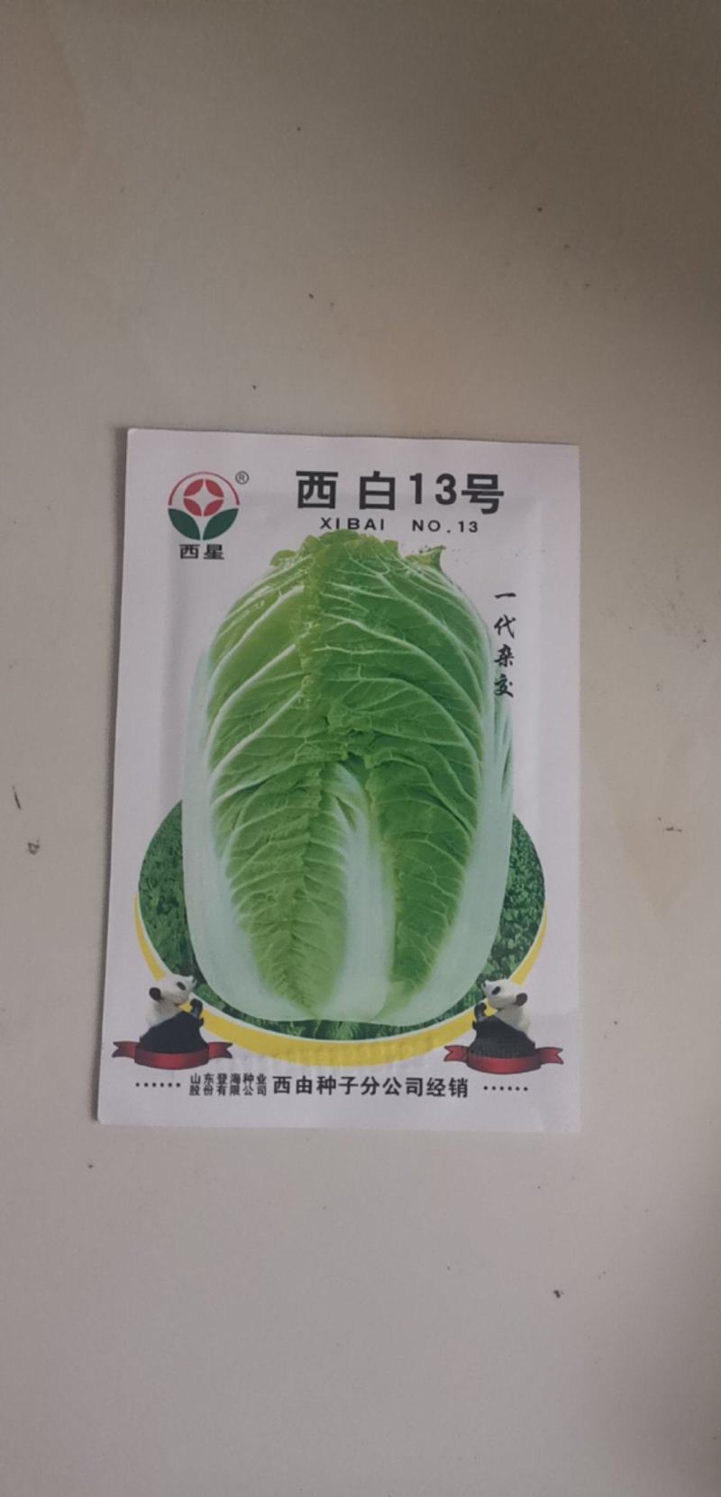 秋季耐寒白菜种子抗病强生长速度快矮桩炮弹形基地专用