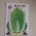 秋季耐寒白菜种子抗病强生长速度快矮桩炮弹形基地专用