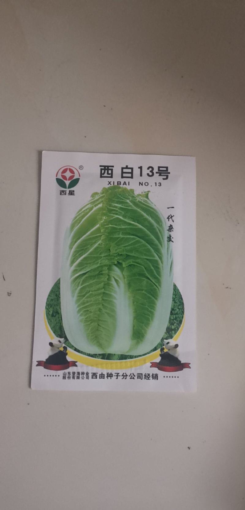 秋季耐寒白菜种子抗病强生长速度快矮桩炮弹形基地专用