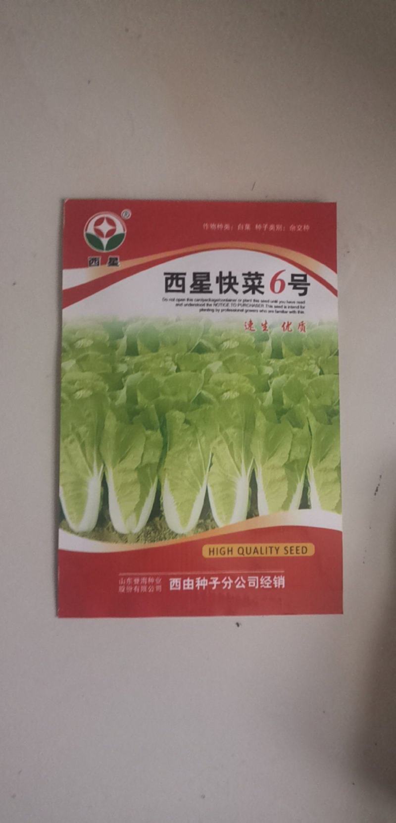 快菜种子西星快菜6号叶柄窄生长速快30天上市耐热湿