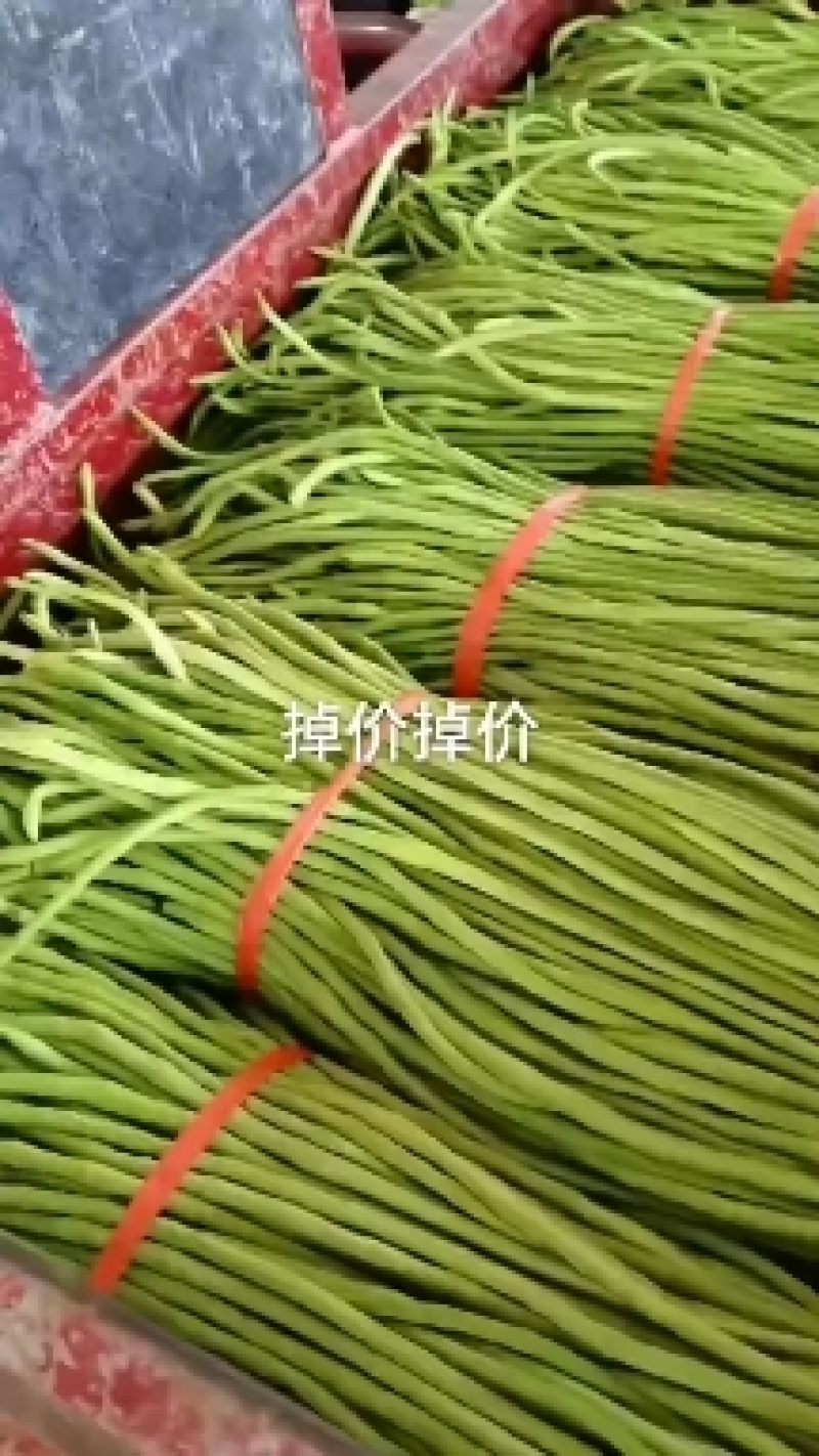 瓠子大量上市，另有多种蔬菜配车，需要联系