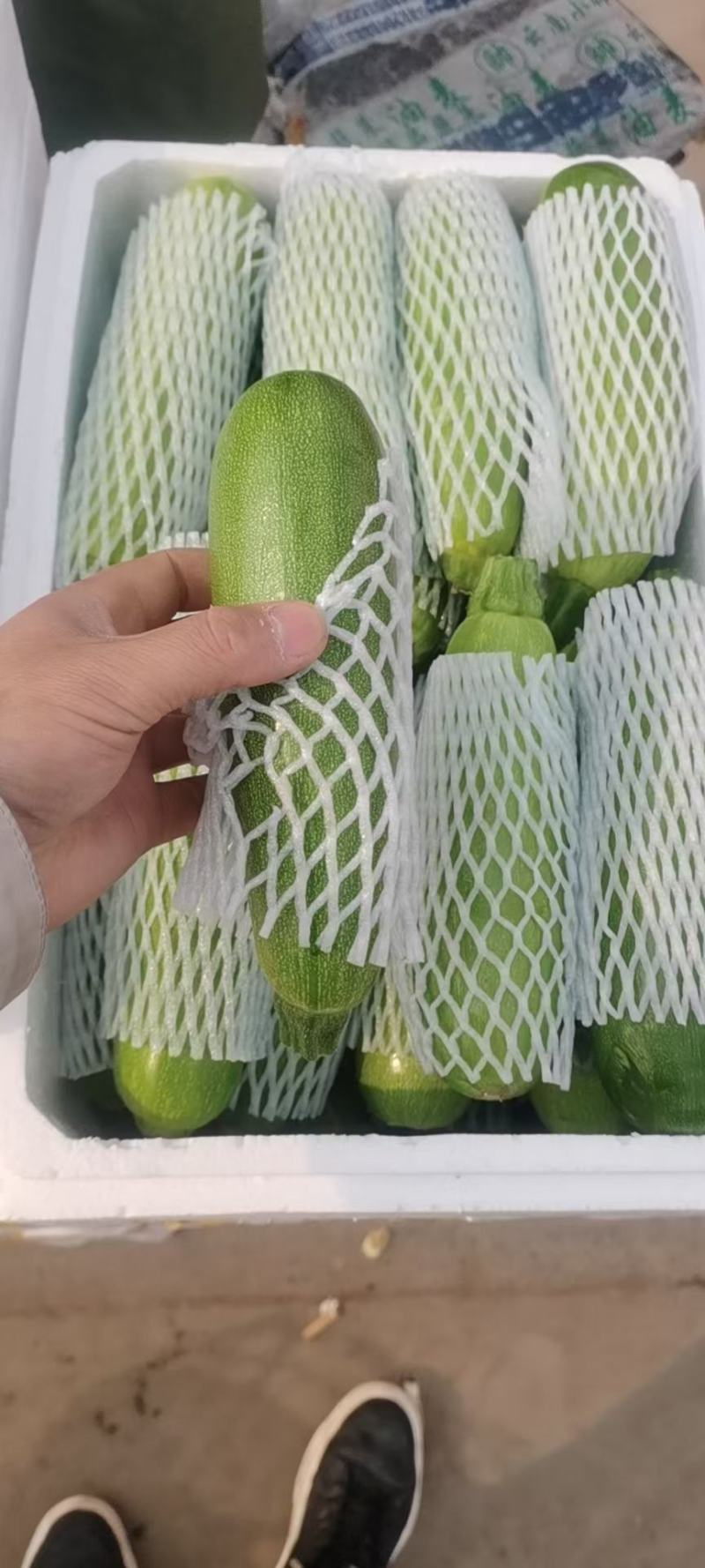 瓠子大量上市，另有多种蔬菜配车，需要联系