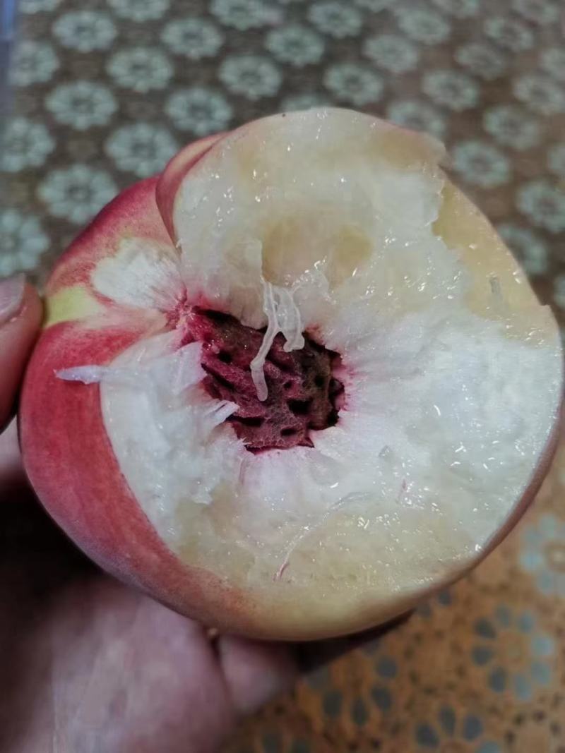 天有王母蟠桃，地有秦安蜜桃