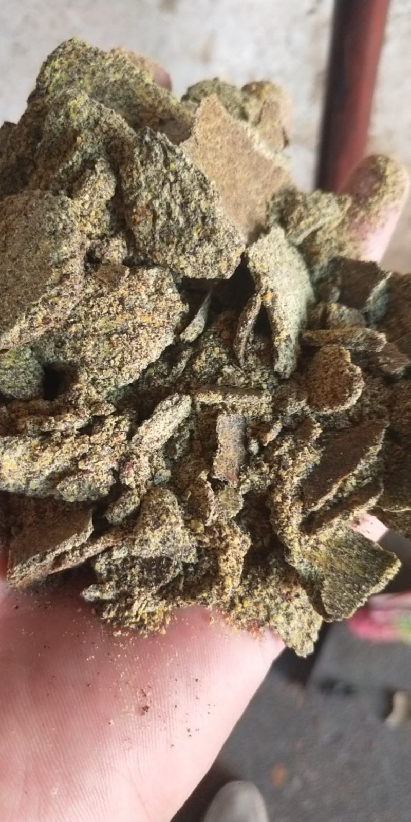 大量出售优质菜枯，可做饲料，种植无公害有机肥