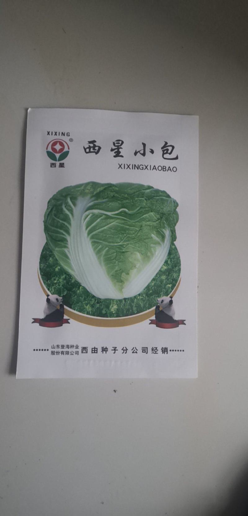 西星小包白菜种子结球快白菜杂交矮桩率高球锥形秋季白菜