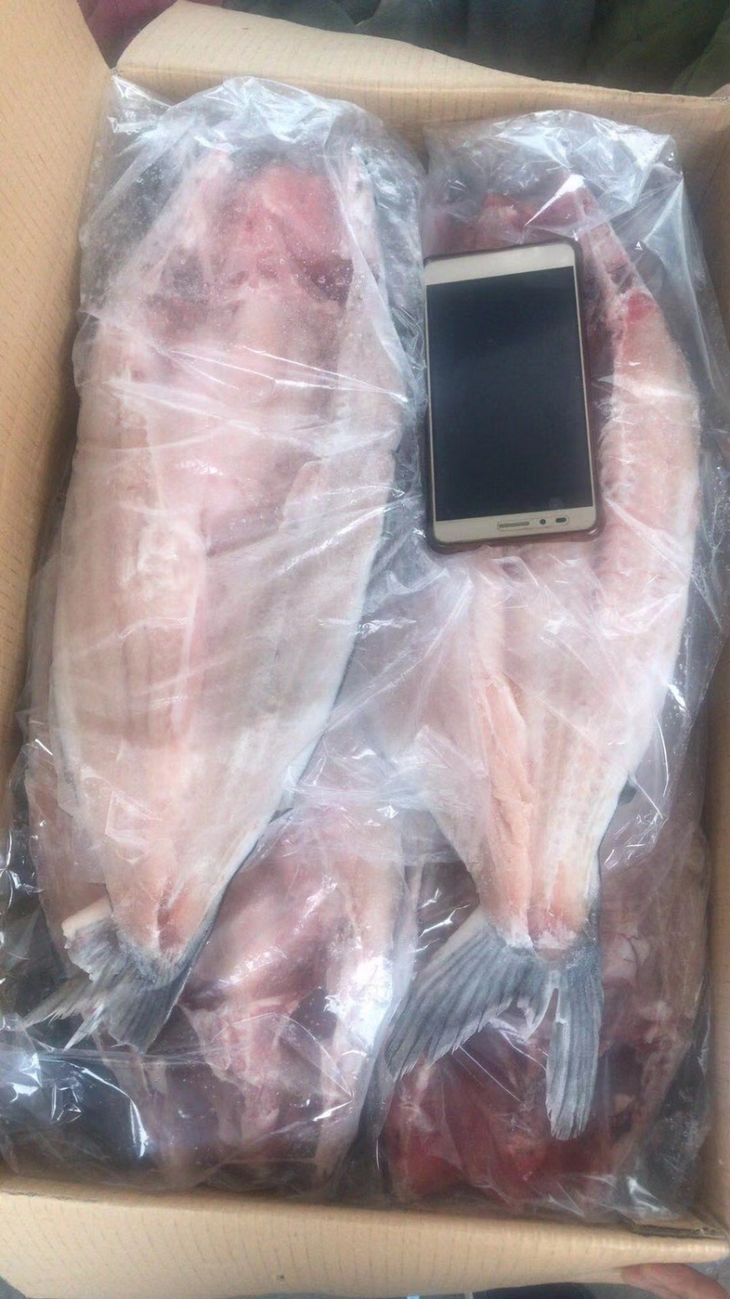 巴沙鱼开背鱼