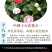 十八学士茶花盆栽一树多色是中国十大名茶之一福建龙岩