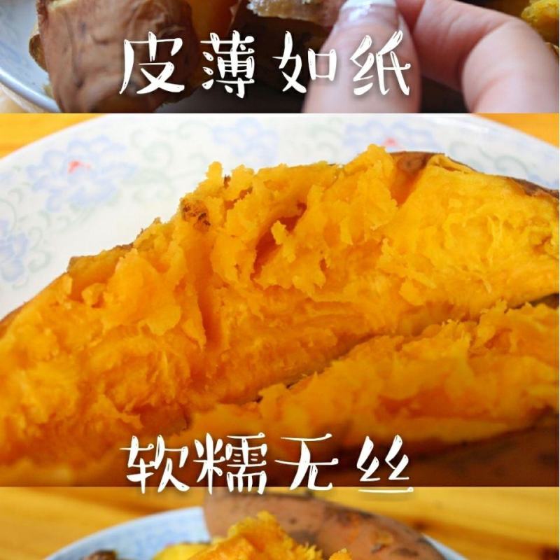 开封商品高标准龙九蜜薯