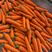 【精品】胡萝卜水洗土货可供超市电商市场等各种渠道