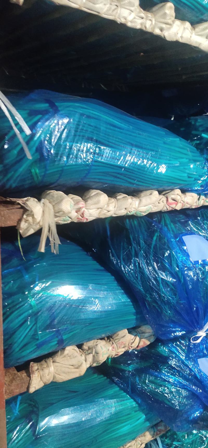 大名蒜苔，基地直供，耐储藏，保证质量，批发对接，一手货源