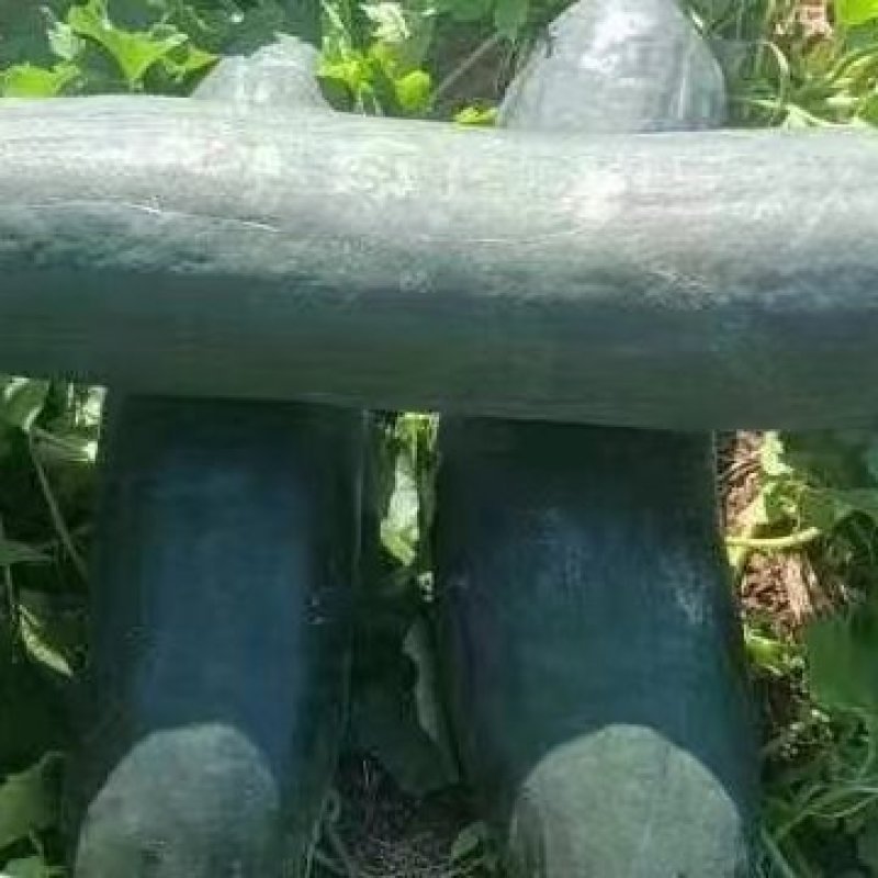 大量供应，地冬瓜