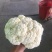 兰州高原夏菜有机松花