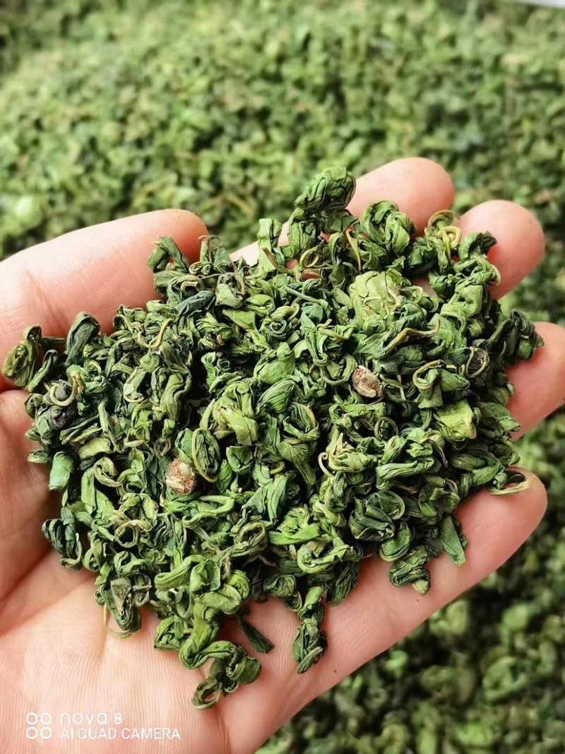 广西大瑶山刺甜茶