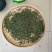 广西大瑶山刺甜茶