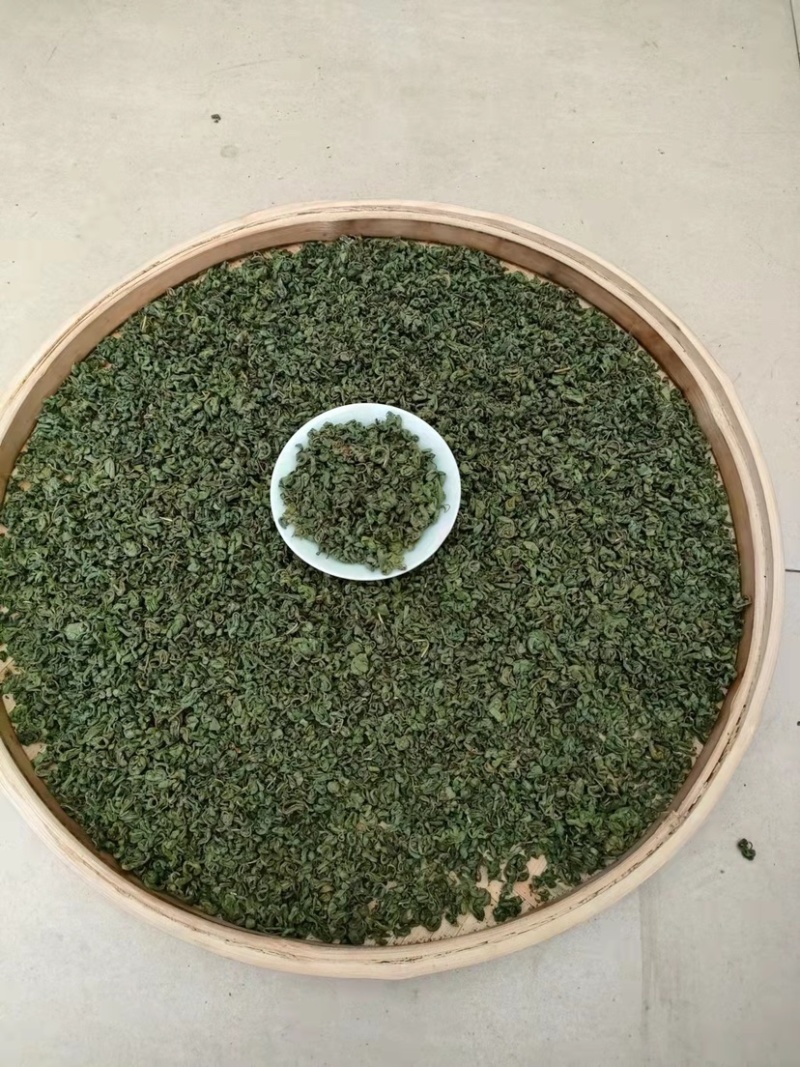 广西大瑶山刺甜茶